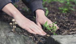 Brakuje Ci pomysłu na aranżację małego ogrodu? Voucher na profesjonalny projekt rozwiąże ten problem