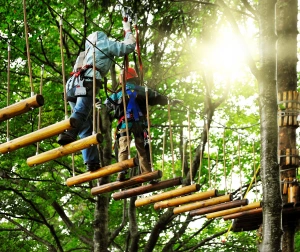 Ekstremalna Przygoda w Adventure Park | Trójmiasto