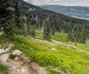 Wczasy w Górach dla Dwojga | Zakopane (okolice)