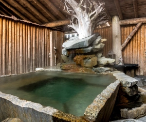 Zabawa w Termach Gorący Potok dla Rodziny | Zakopane (okolice)