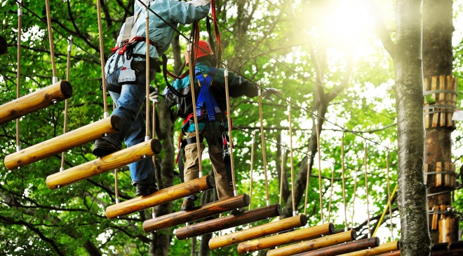 Ekstremalna Przygoda w Adventure Park | Trójmiasto